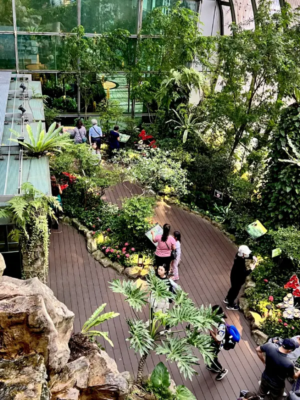 Butterfly Garden at Changi Airport