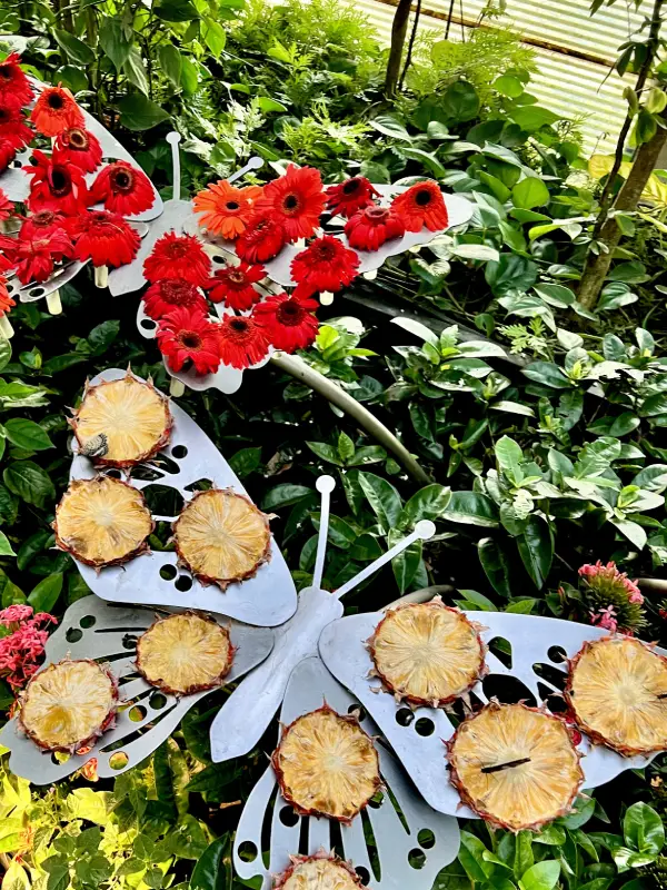 Butterfly sculptures at Changi Airport