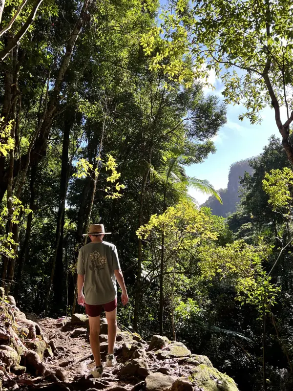 Hiking around Sprinbrook and Lamington National Parks