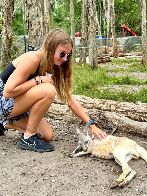 Interacting with kangaroos at Currumbin Wildlife Park, Gold Coast