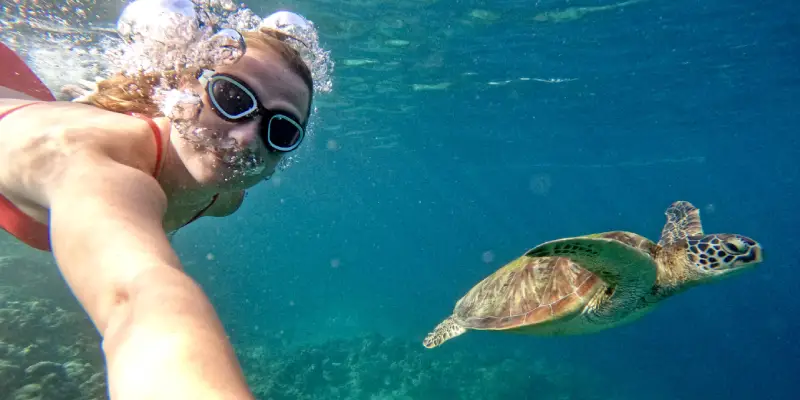 Selfie swimming with turtles in Moalboal, Cebu