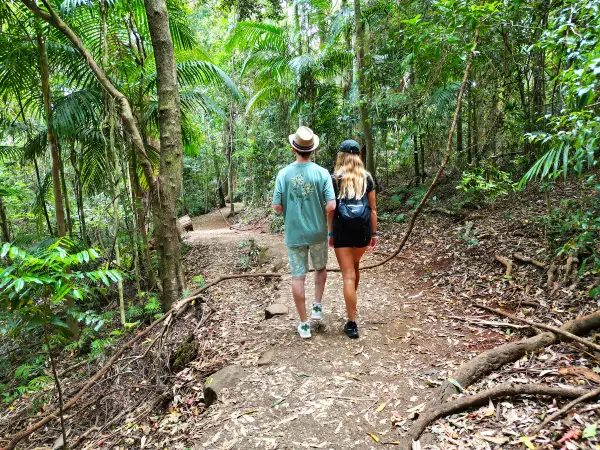 Exploring the National Parks in the Gold Coast Hinterland